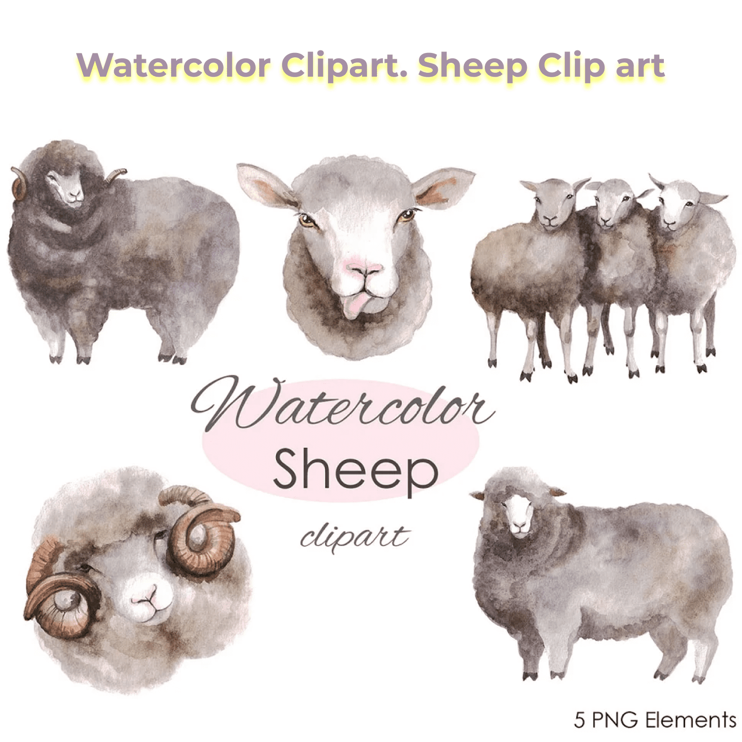 Watercolor Clipart. Sheep Clip art cover.