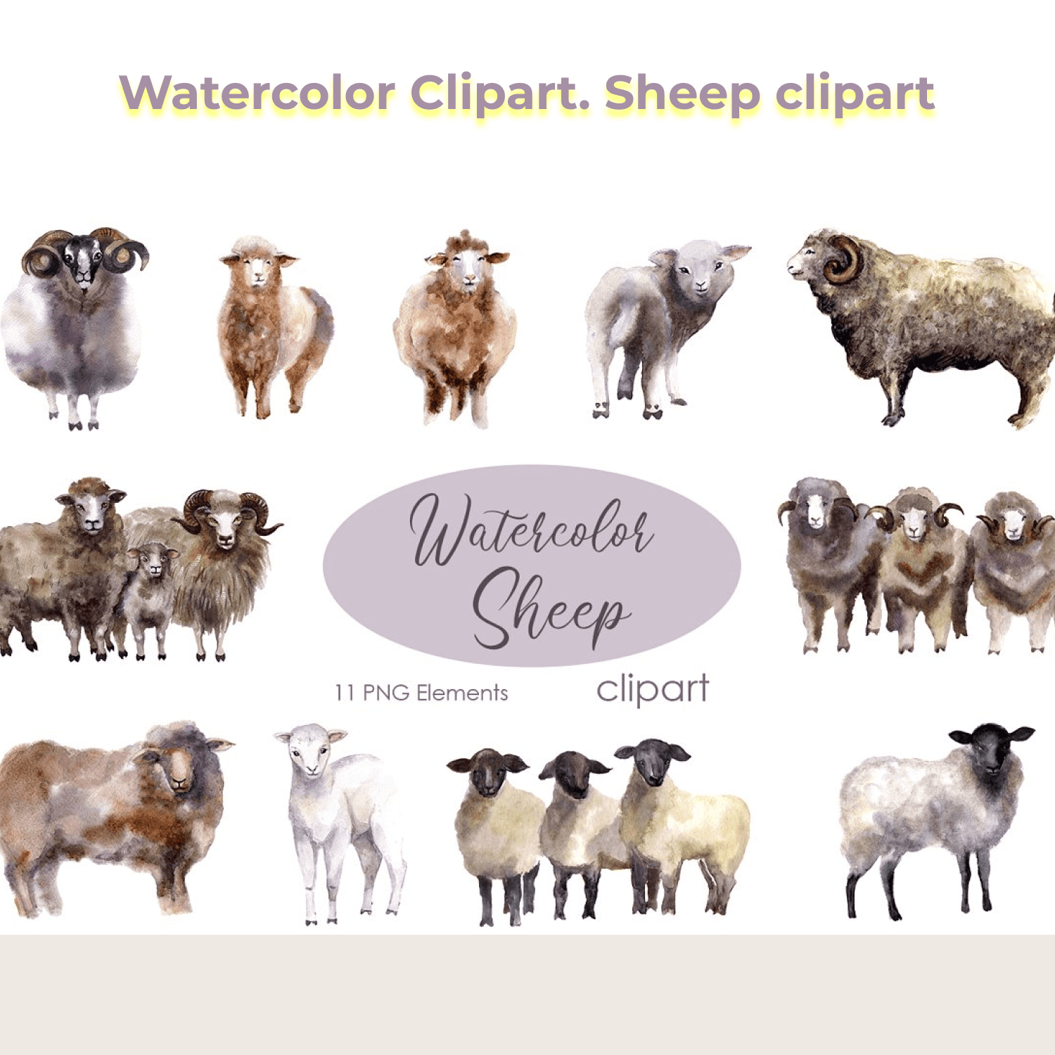 Watercolor Clipart. Sheep clipart.
