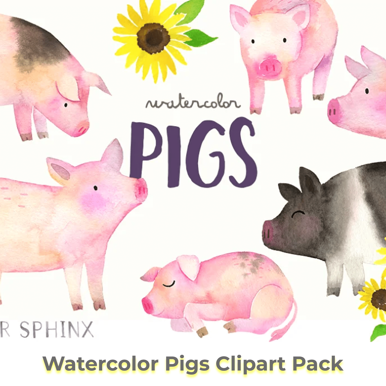 Watercolor Pigs Clipart Pack cover.