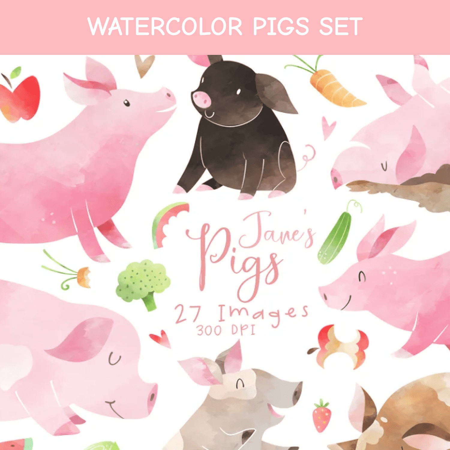 Watercolor Pigs Set.