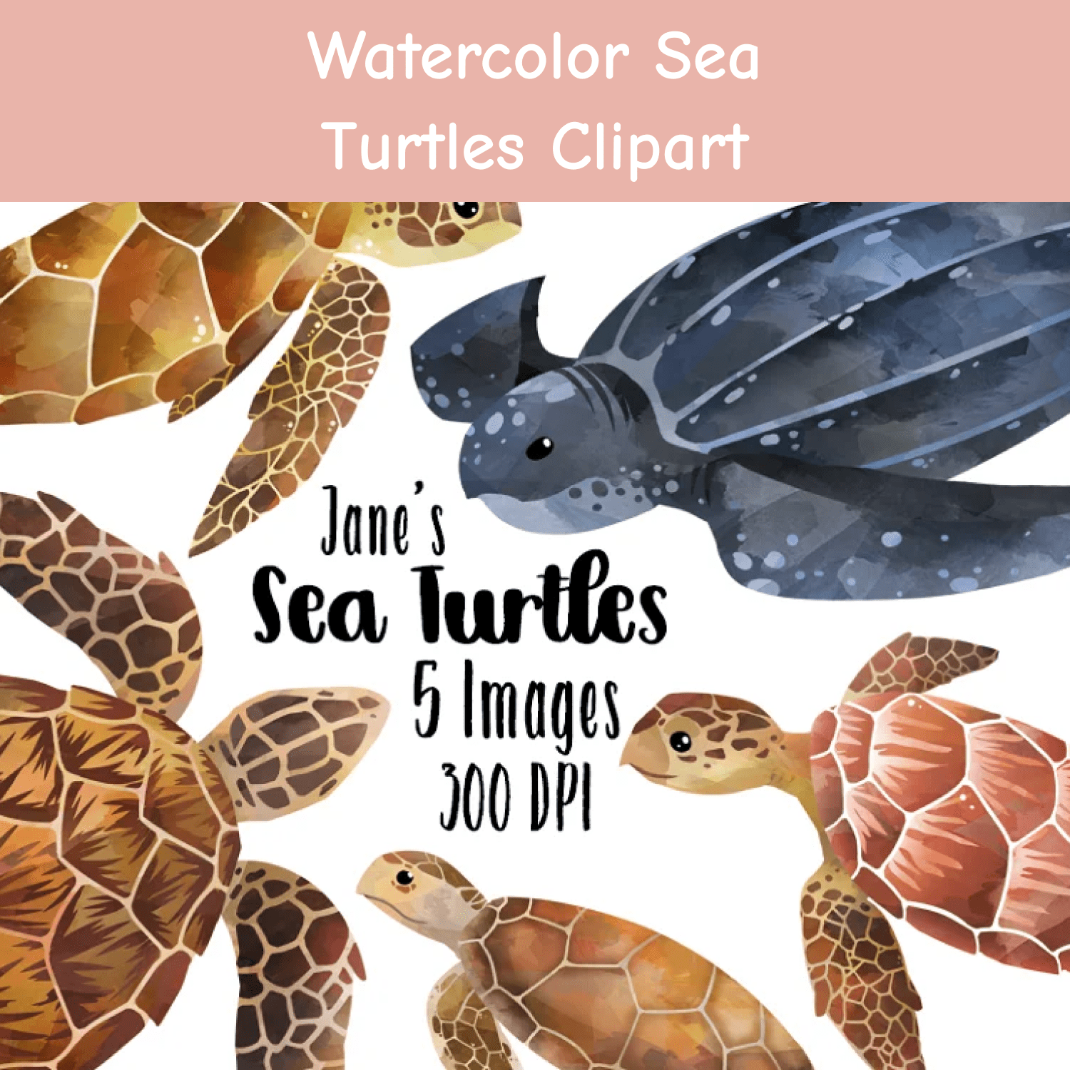 Watercolor Sea Turtles Clipart cover.