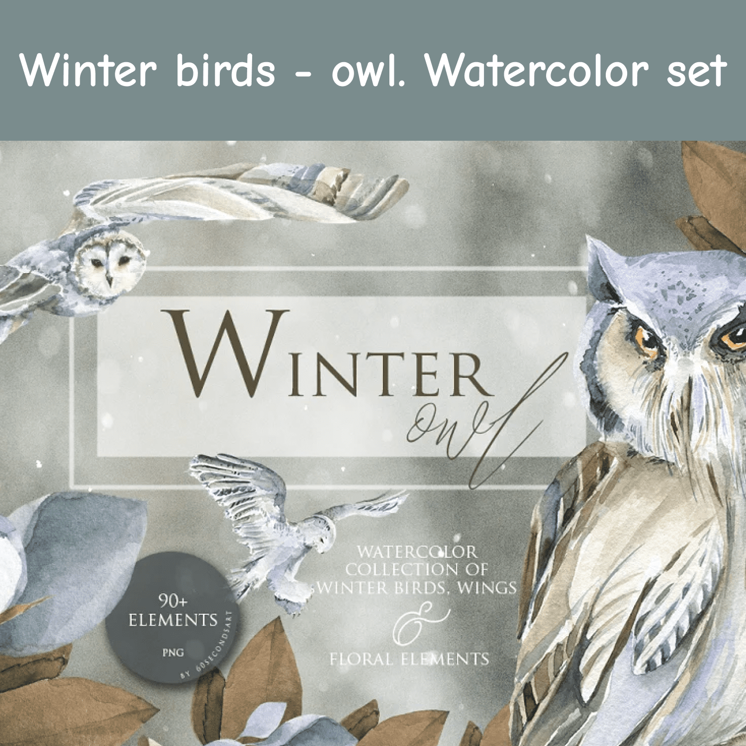 Winter birds - owl. Watercolor set cover.