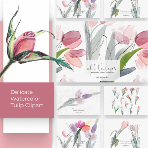 Delicate Watercolor Tulip Clipart.