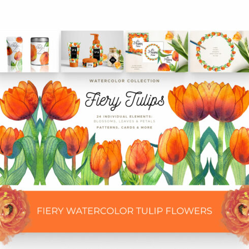Fiery Watercolor Tulip Flowers.