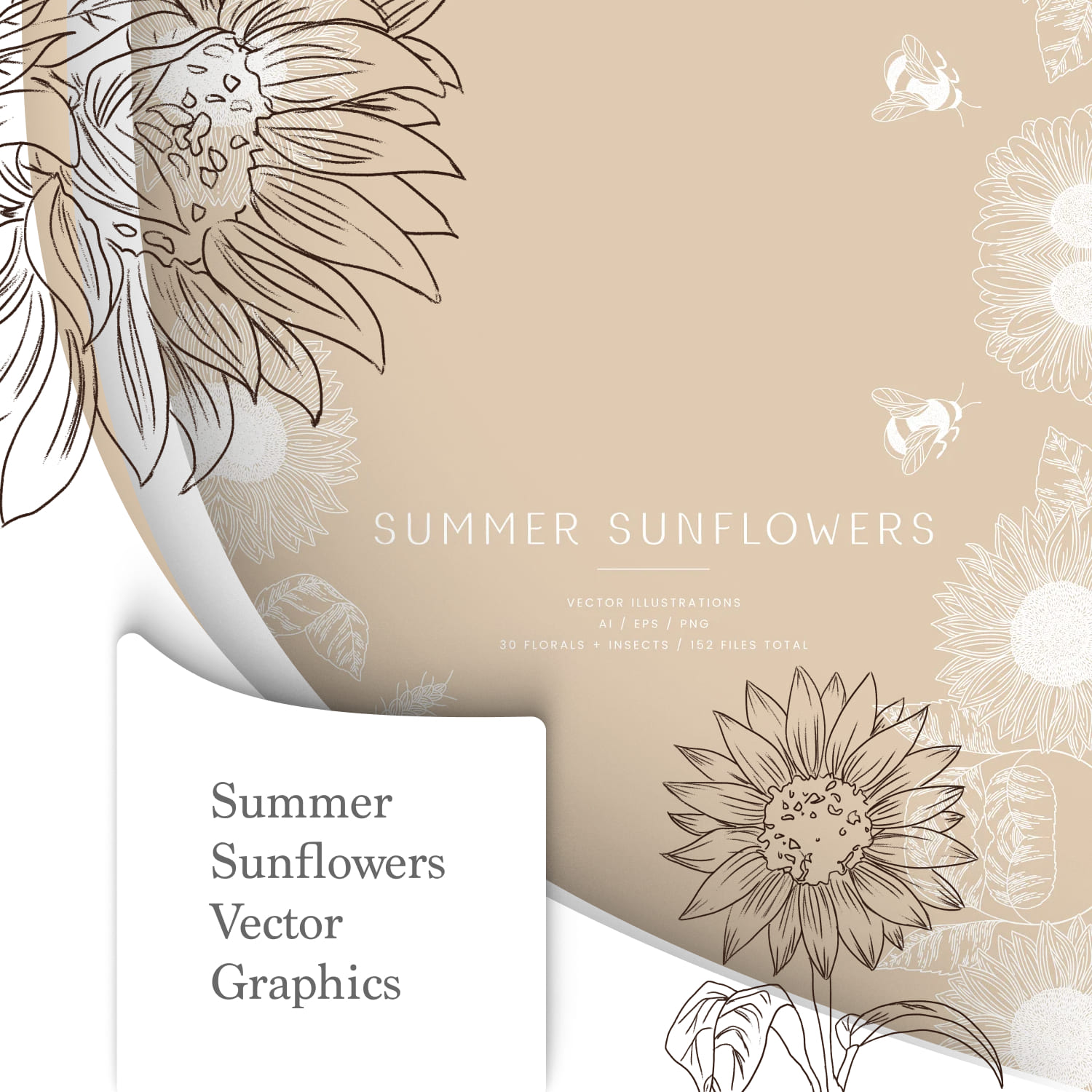 Summer Sunflowers Vector Graphics.