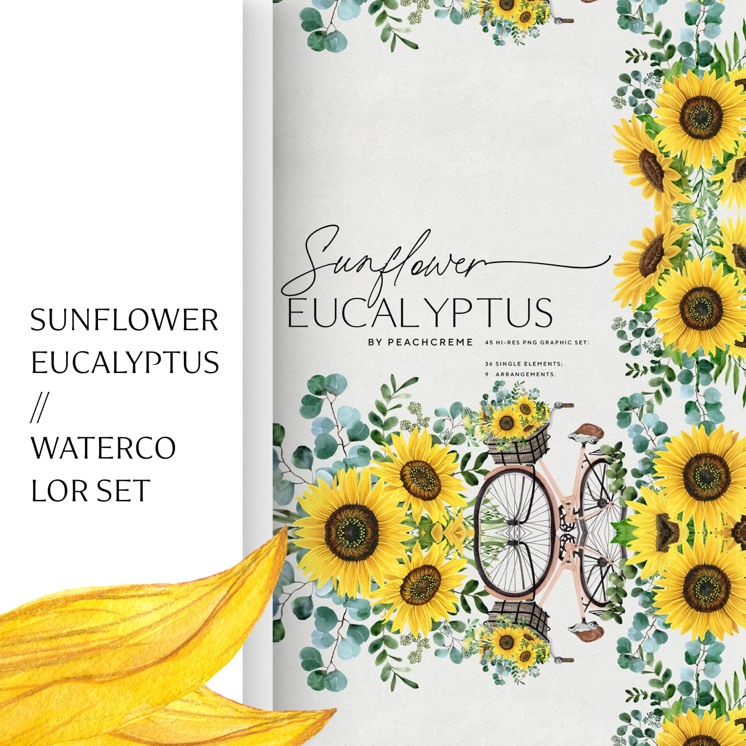 Sunflower Eucalyptus//Watercolor Set.
