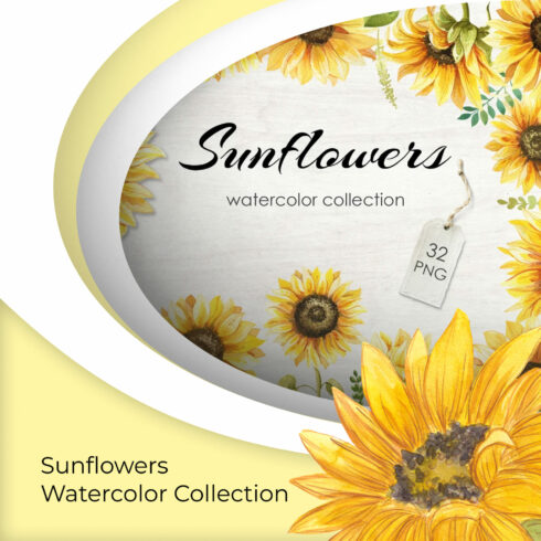 Sunflowers Watercolor Collection.