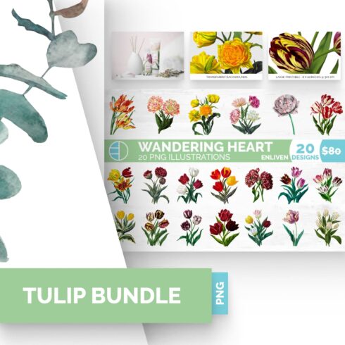 Tulip Bundle (20 Tulips Flowers).