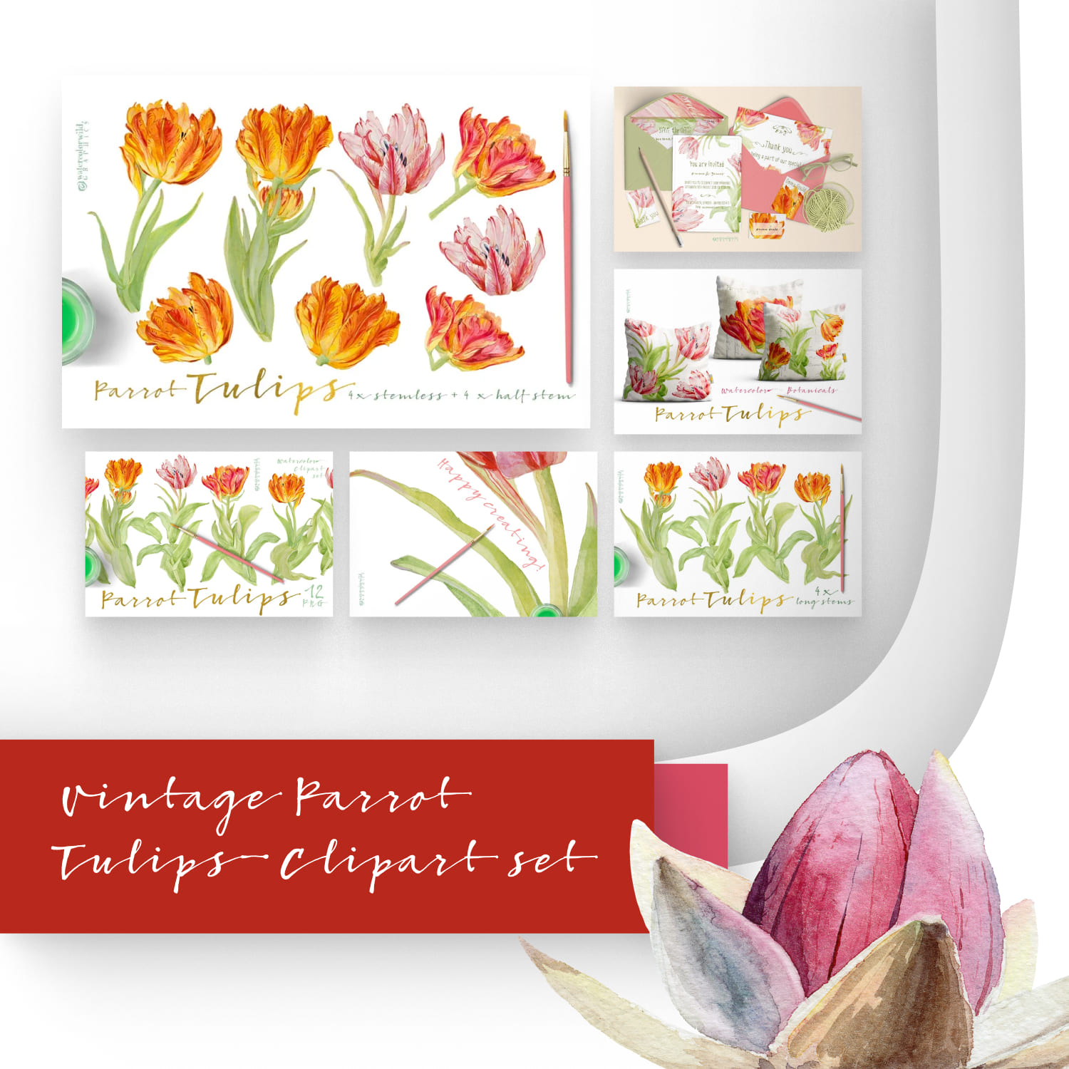 Vintage Parrot Tulips-Clipart set.