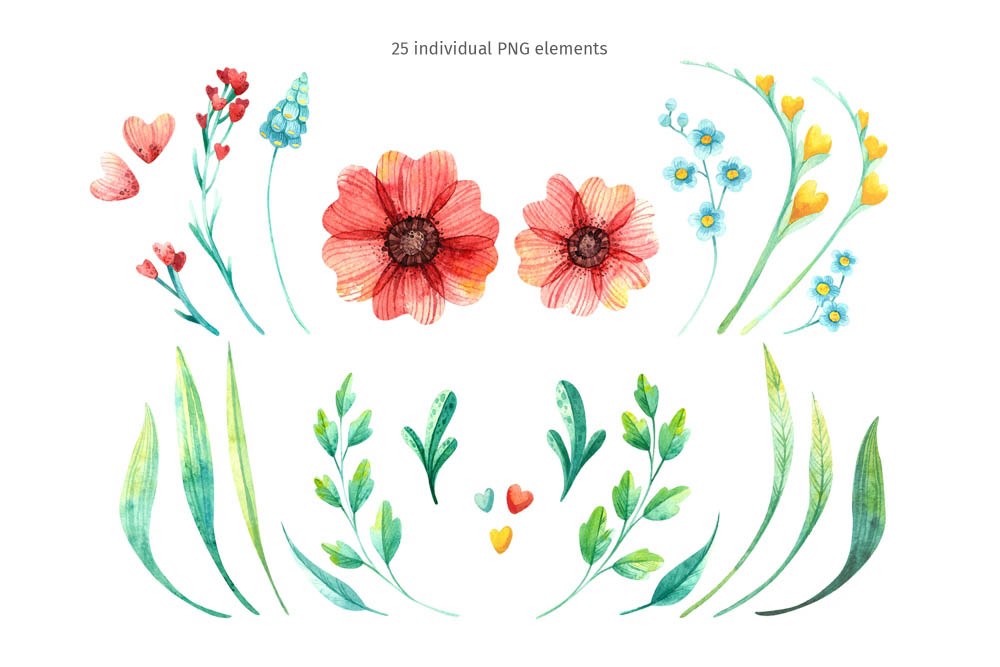 Spring Flowers Watercolor Clipart individual elements.