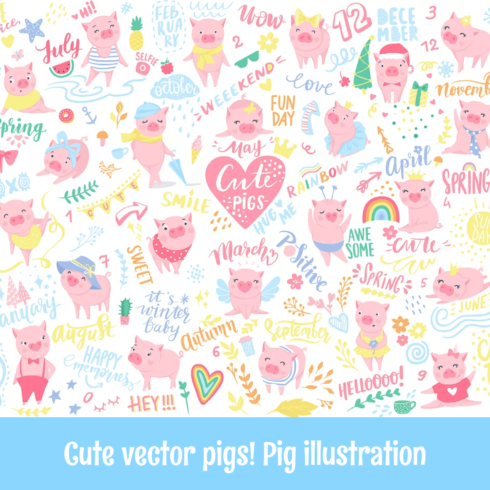 Cute vector pigs! Pig illustration.