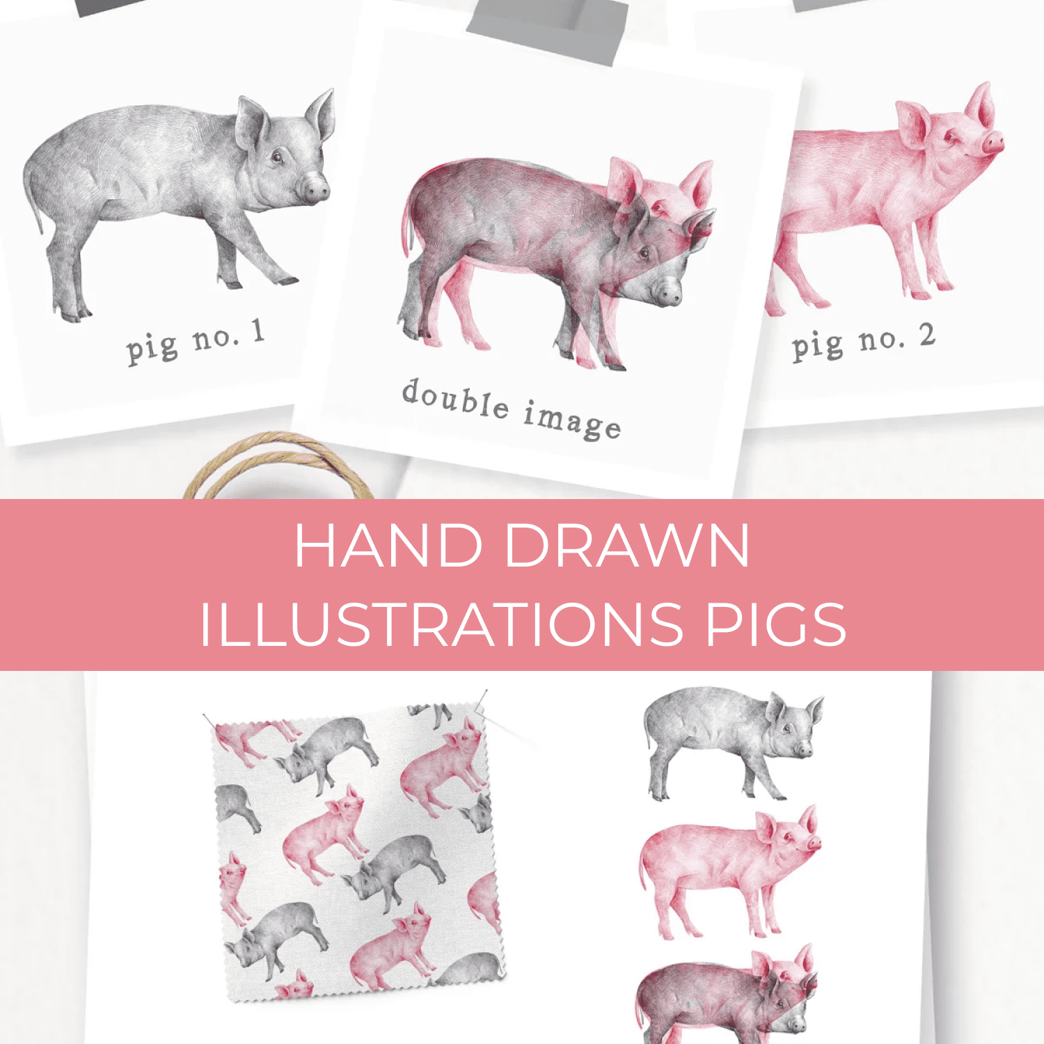 Hand drawn Illustrations Pigs cover.