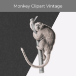 Save Monkey Clipart Vintage.