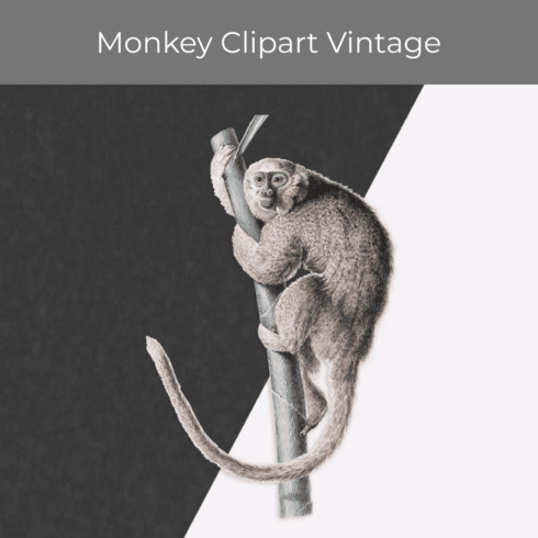 Save Monkey Clipart Vintage.