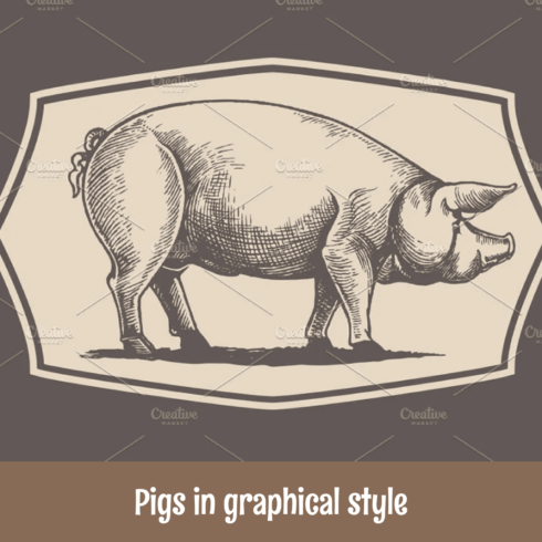 Pigs in graphical style.