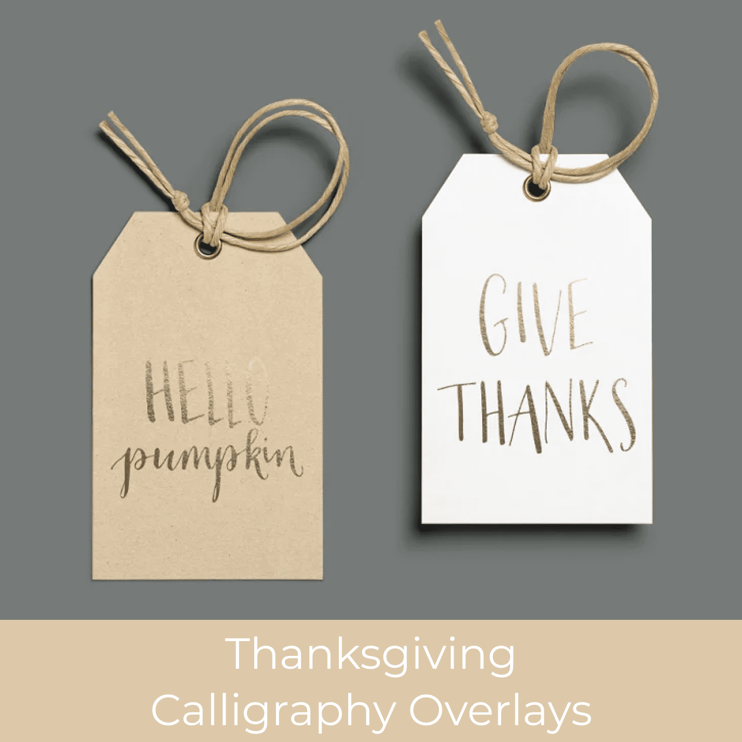 Thanksgiving Calligraphy Overlays cover.
