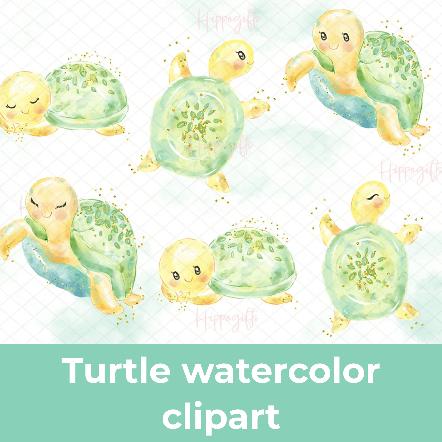 Turtle watercolor clipart cover.