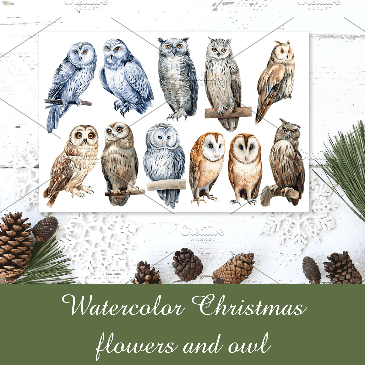 Watercolor Christmas flowers and owl cover.