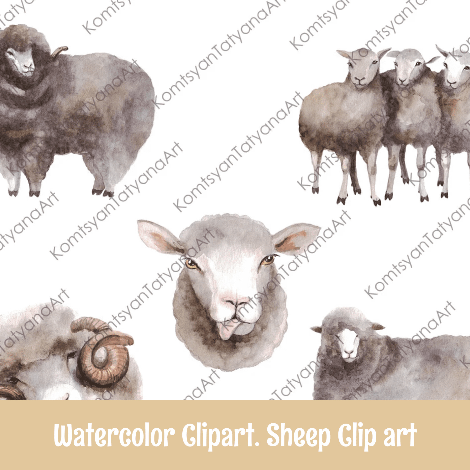 Watercolor Clipart. Sheep Clip art.
