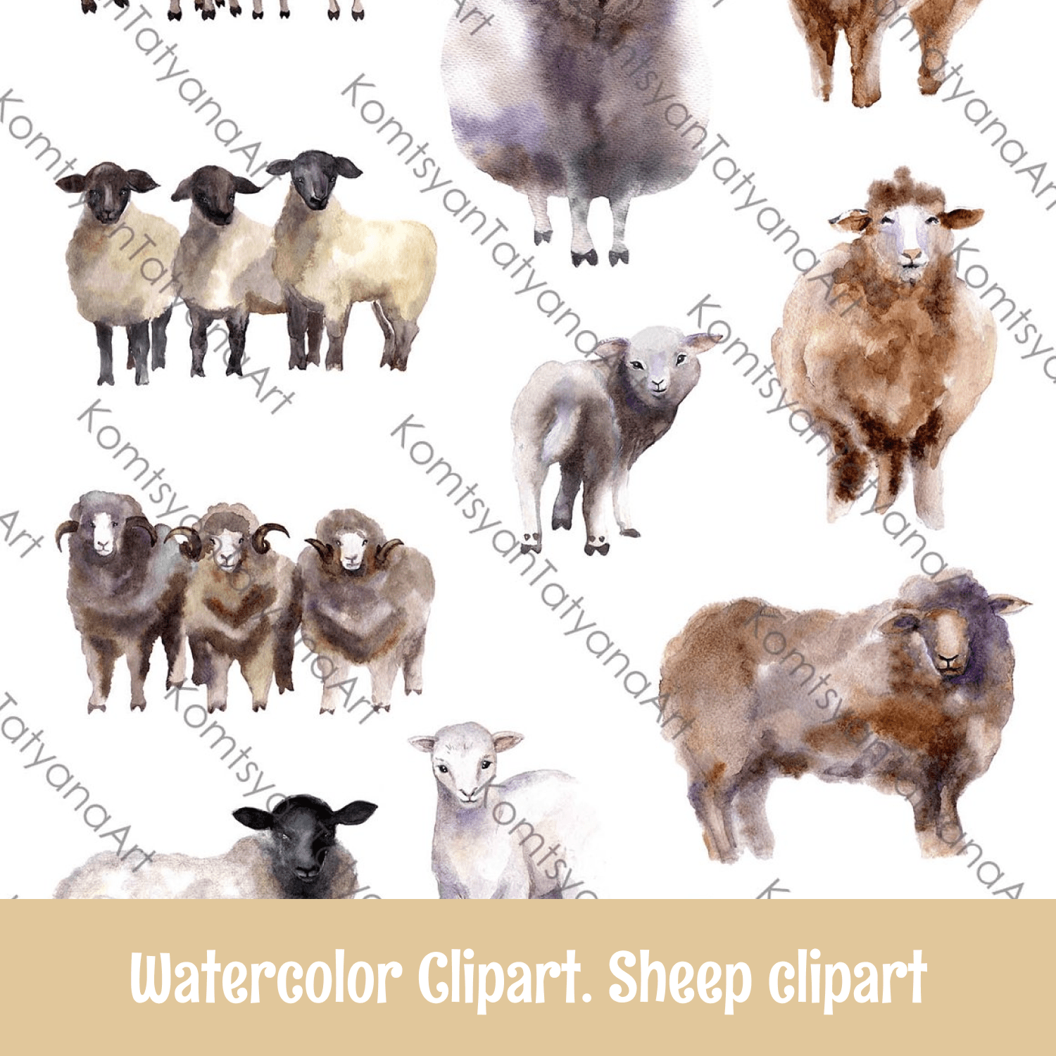 Watercolor Clipart. Sheep clipart cover.