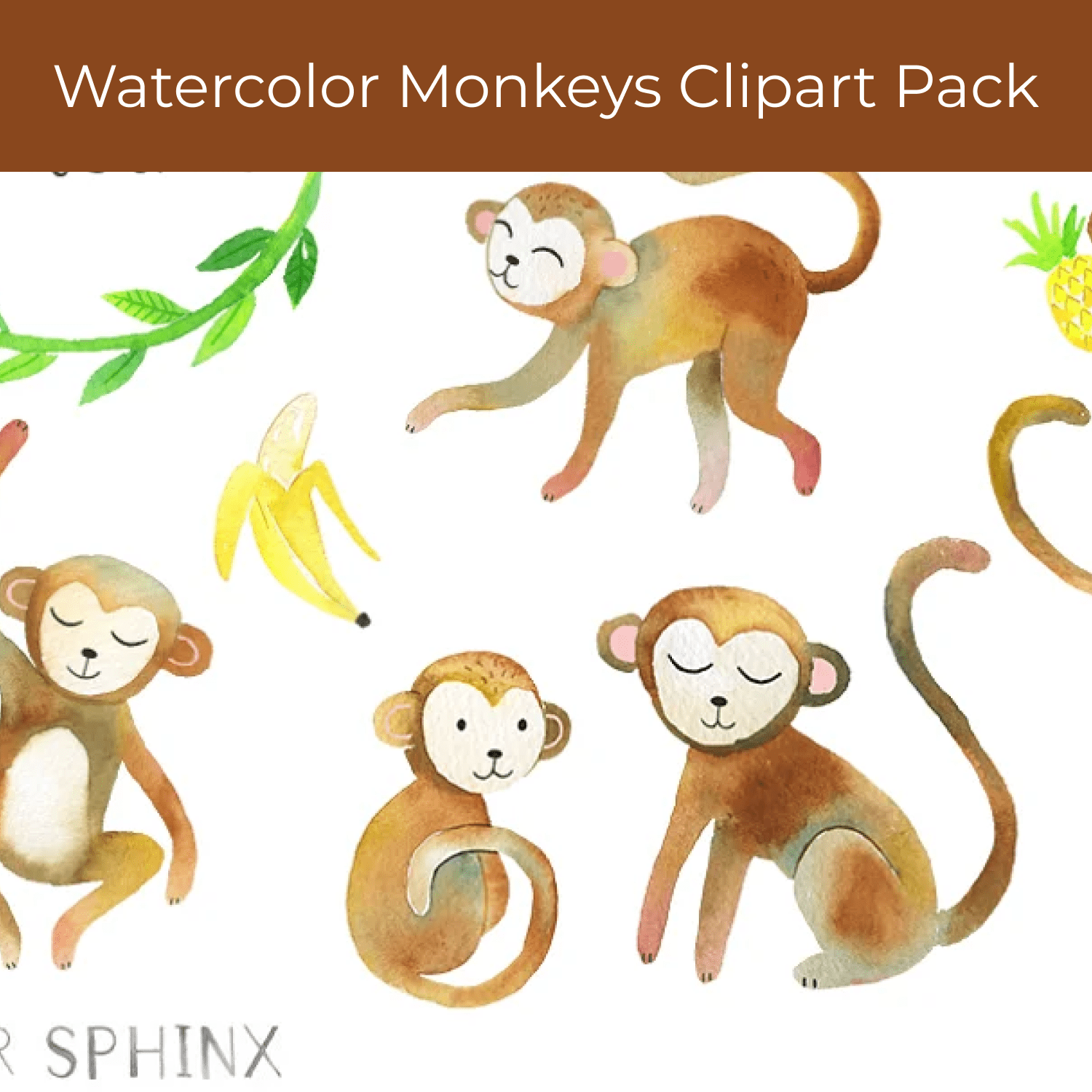 Watercolor Monkeys Clipart Pack cover.