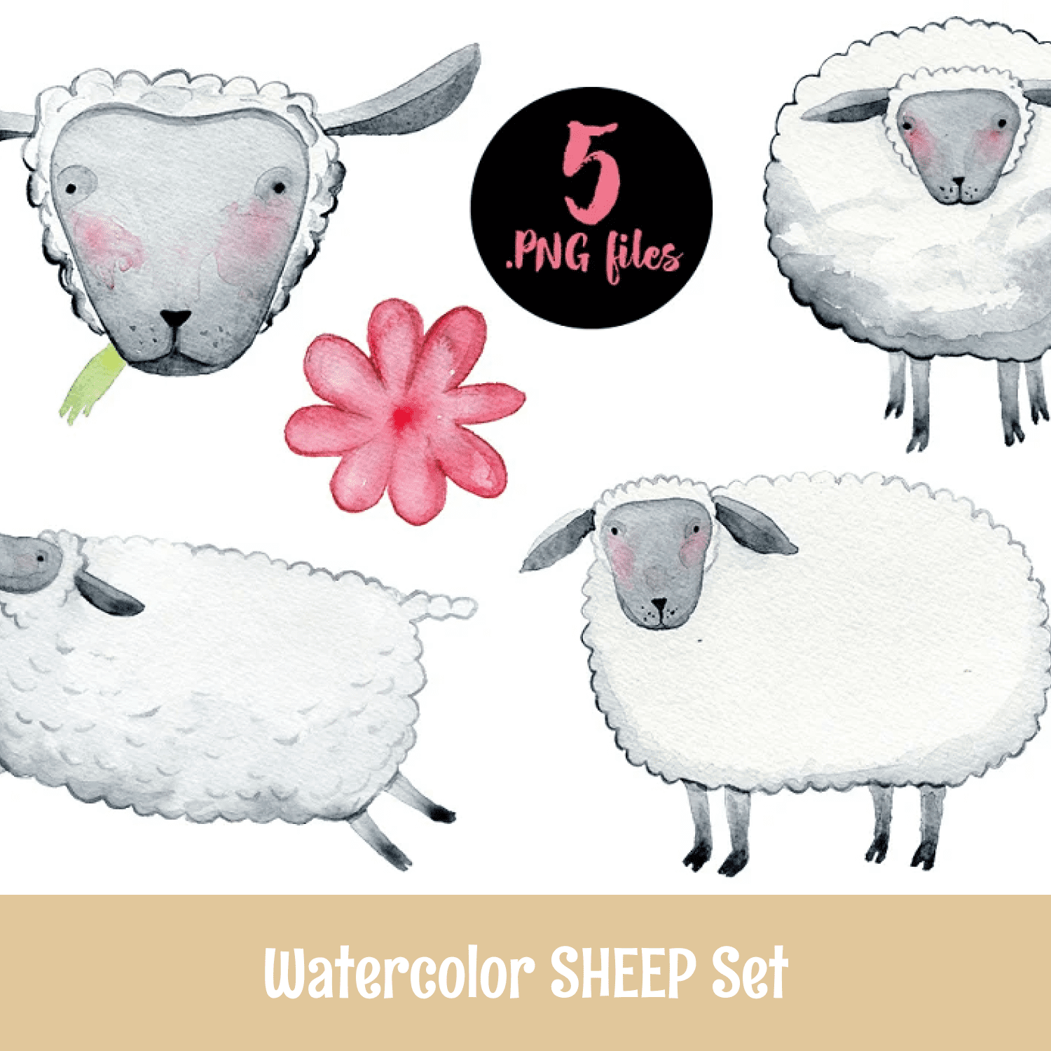 Watercolor SHEEP Set cover.