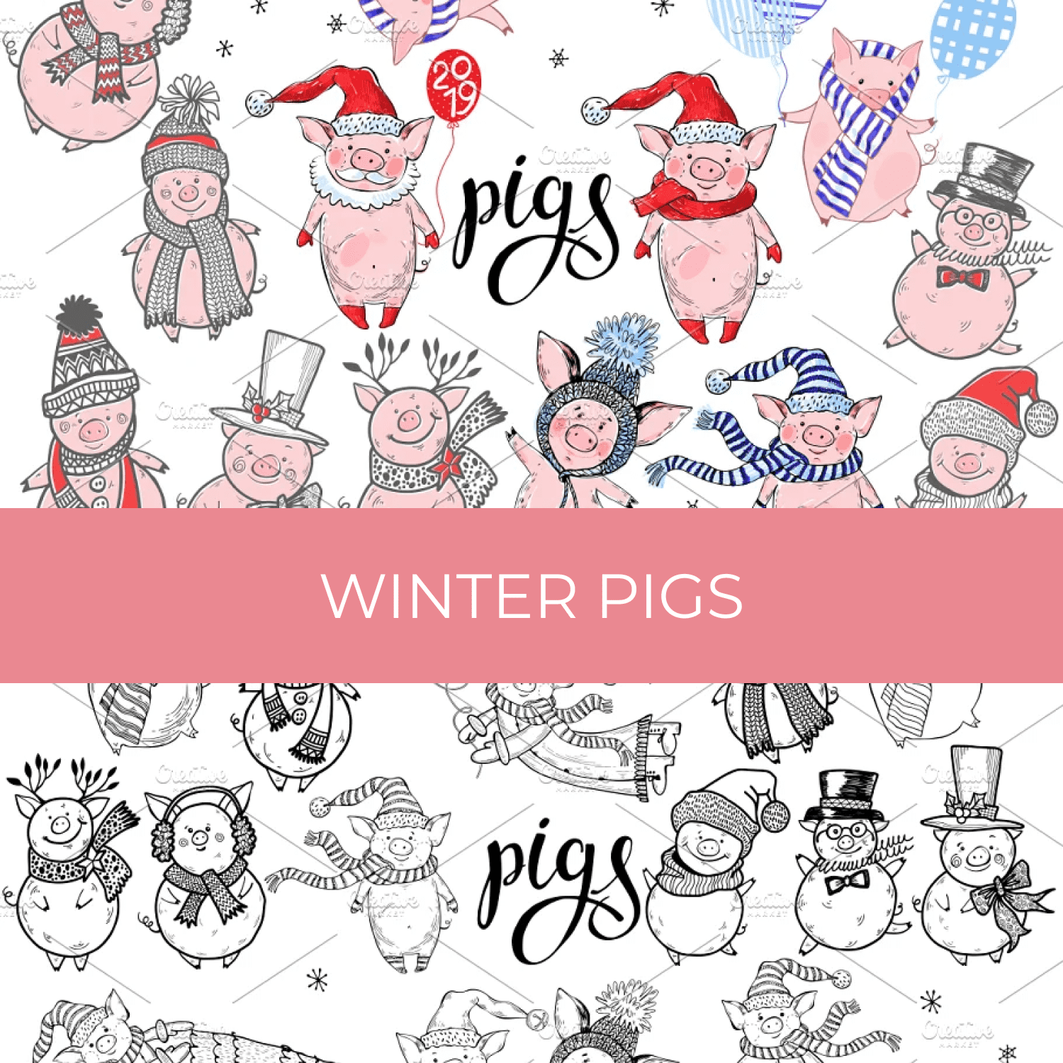 Winter pigs cover.