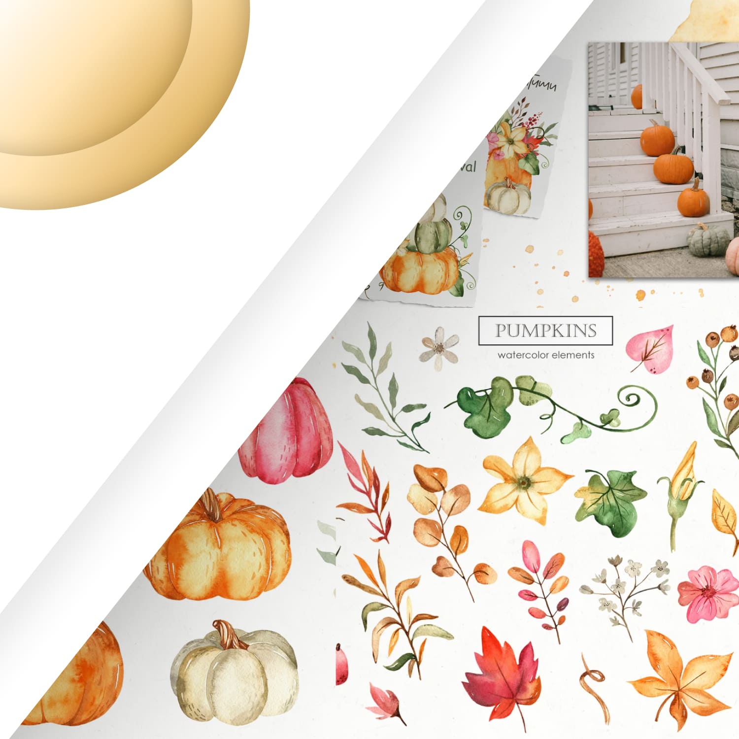 Pumpkins watercolor collection cover.