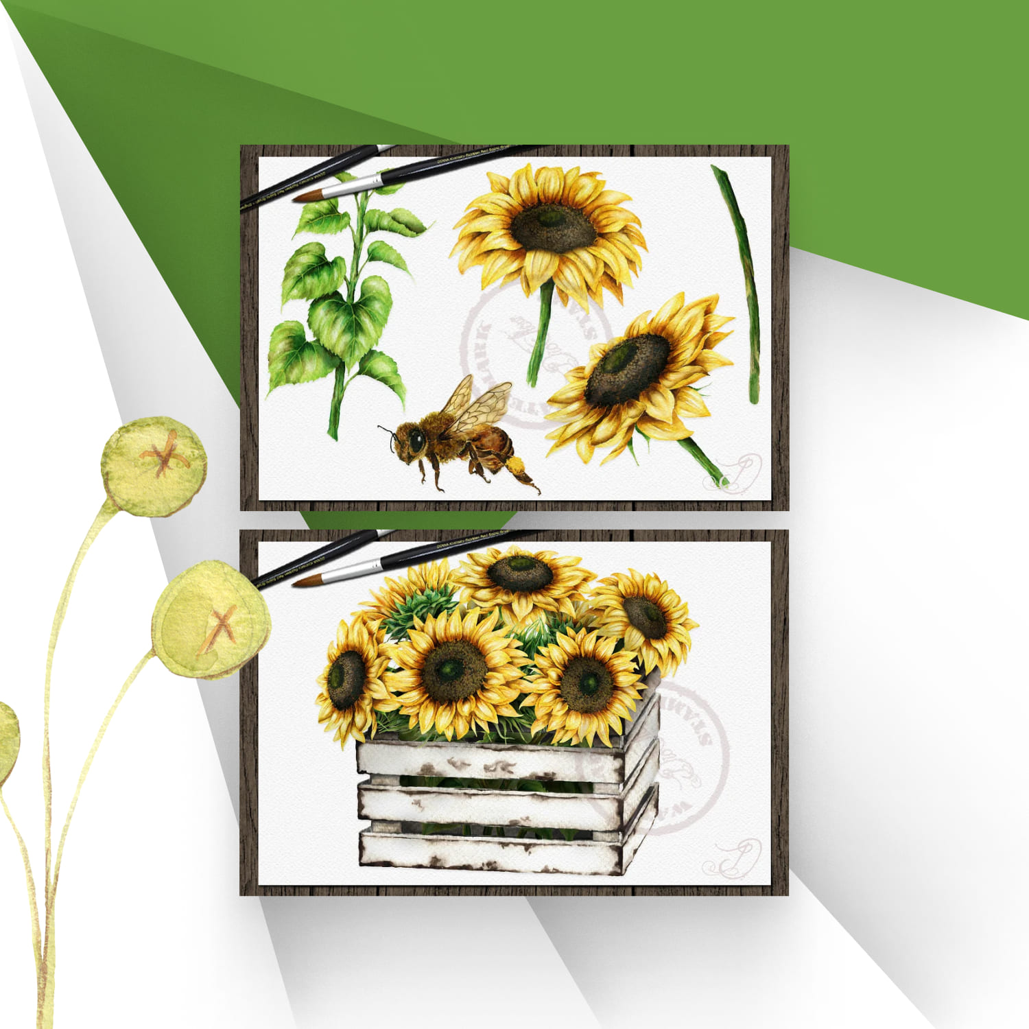 Sunflower Watercolor Clipart Rustic cover.