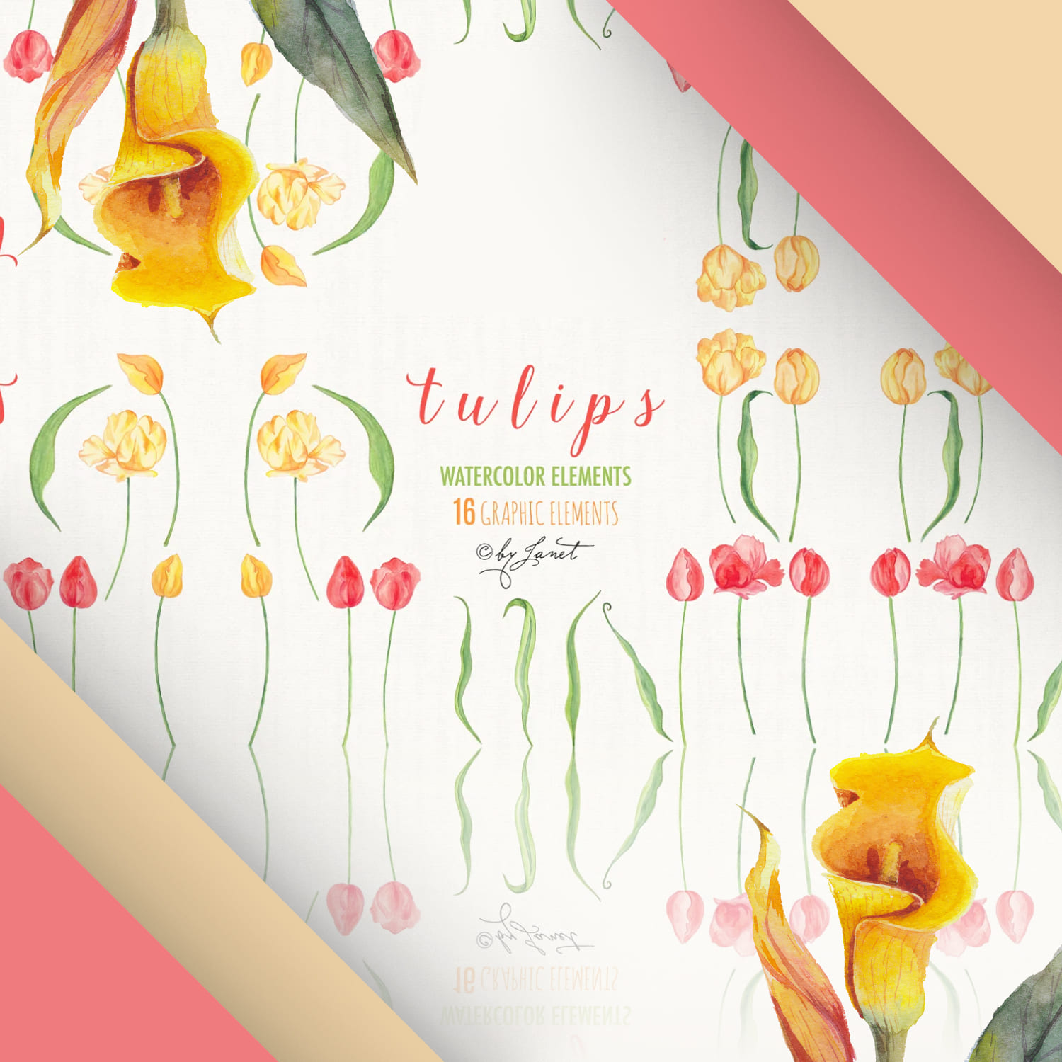 Tulips cover.