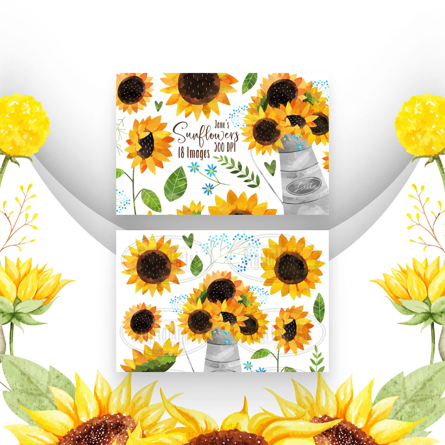 Watercolor Sunflower Clipart cover.