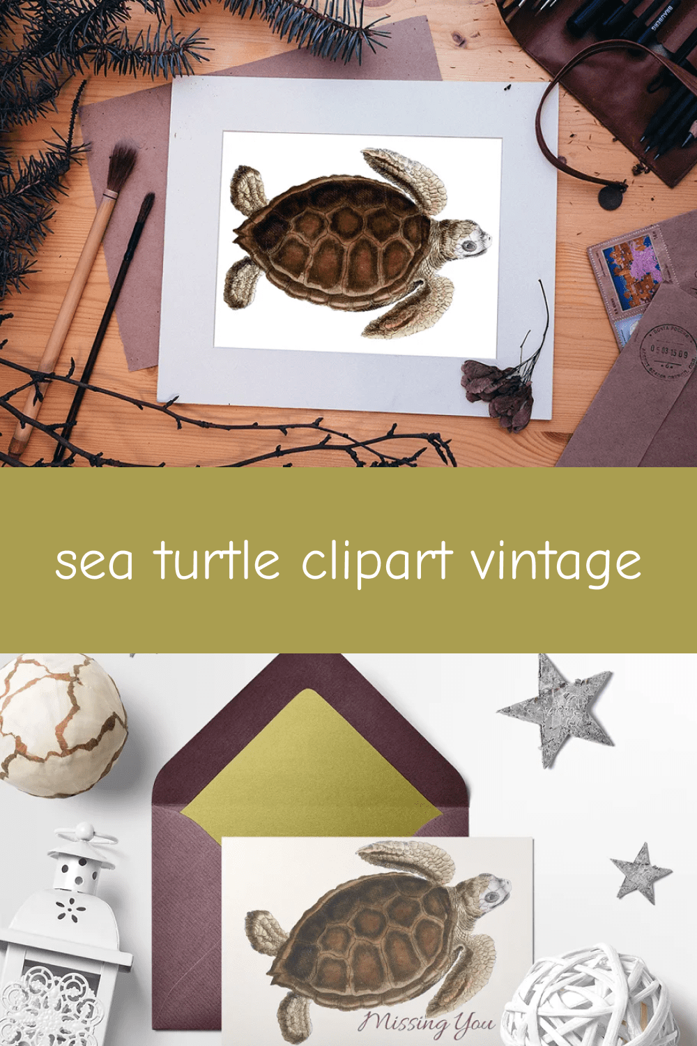 03 sea turtle clipart vintage pinterest