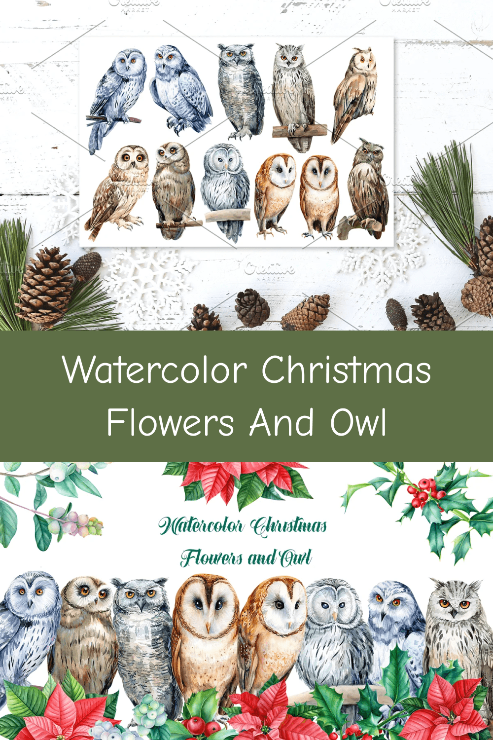 Watercolor Christmas Flowers and Owl.