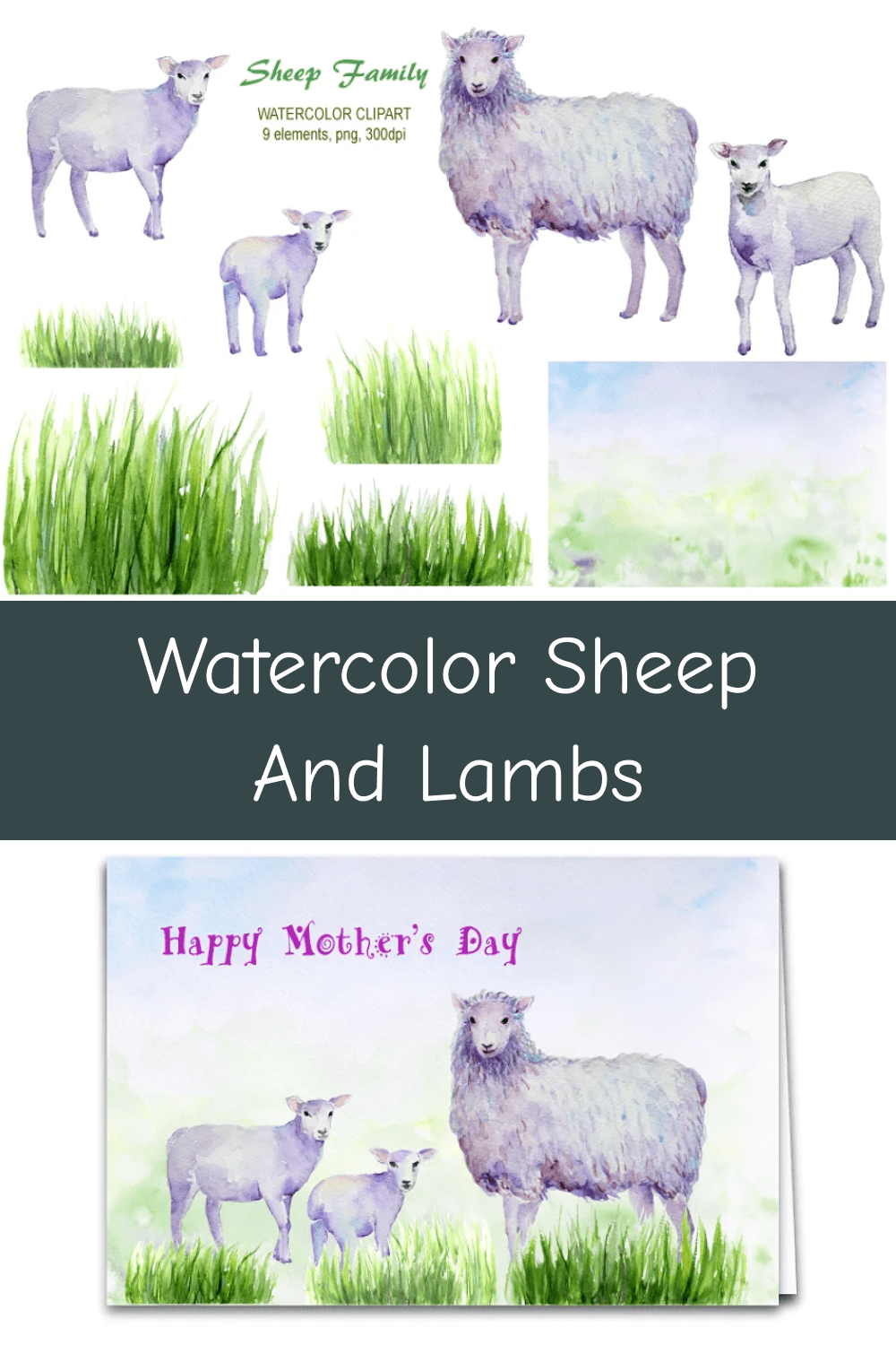 Watercolor Sheep and Lambs.