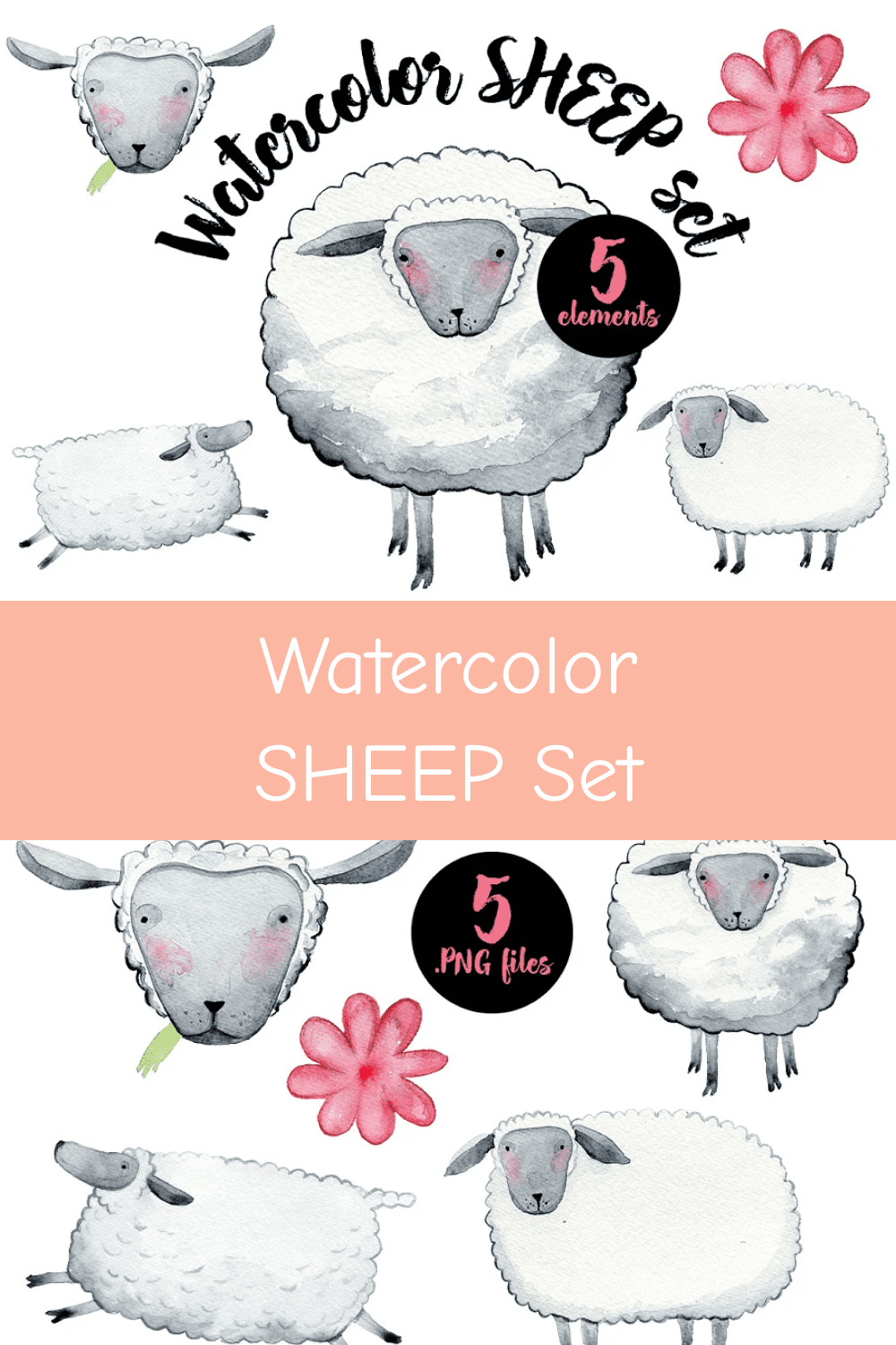 Watercolor Sheep Set.