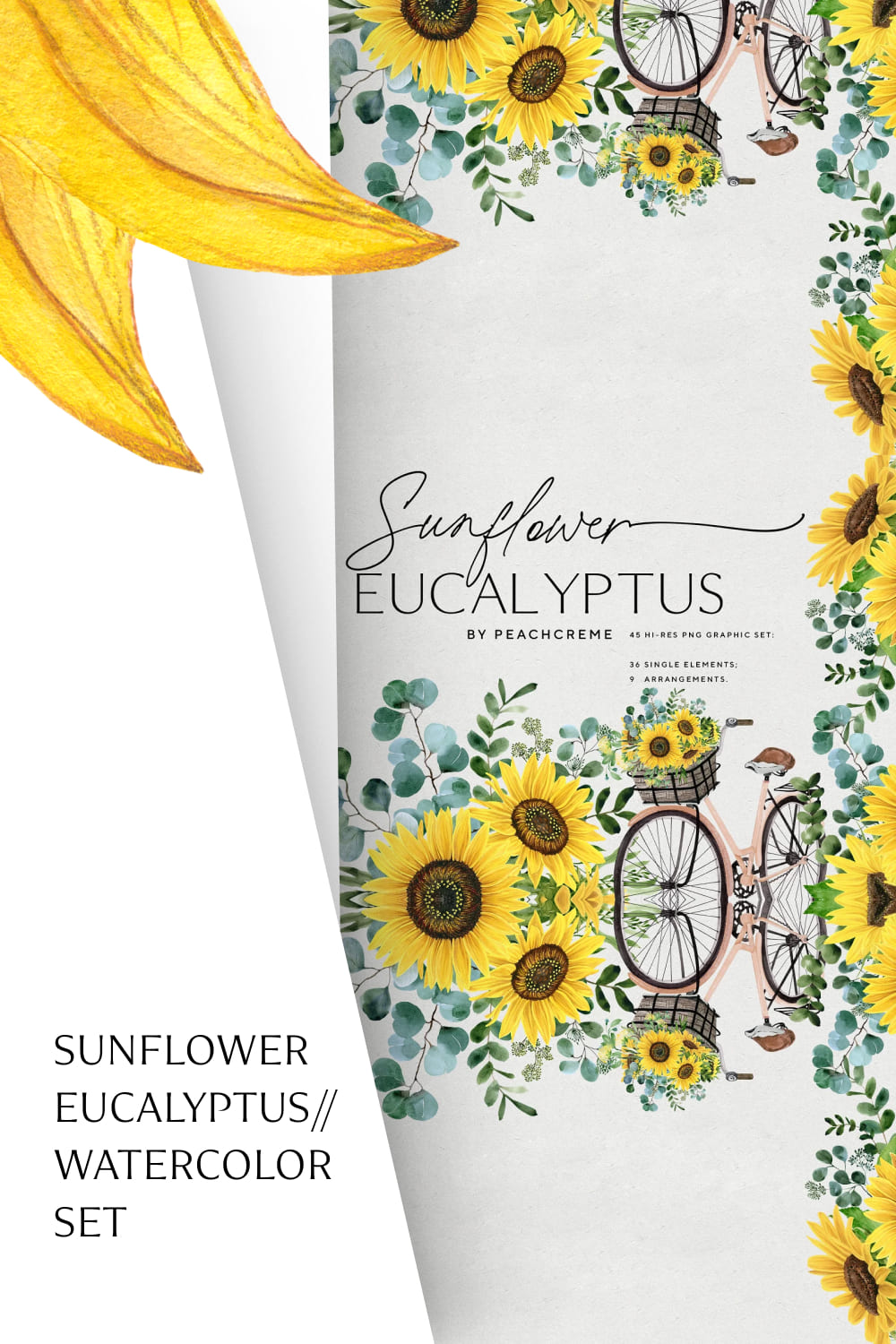 03 sunflower eucalyptuswatercolor set1000x1500