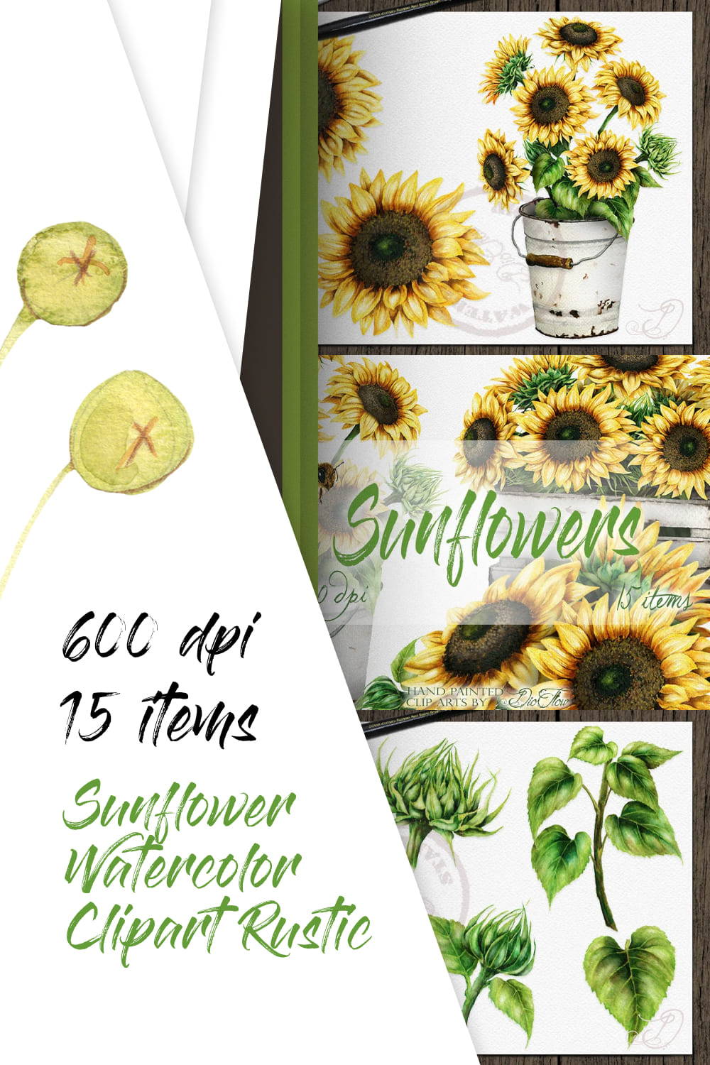 Sunflower Watercolor Clipart Rustic.