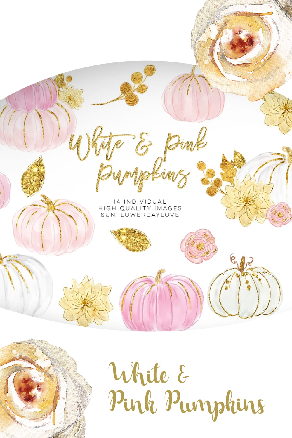 03 white and pink pumpkins1000x1500