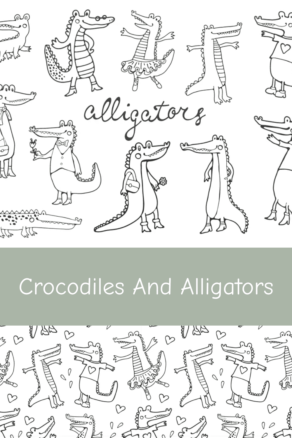 04 crocodiles and alligators 1000h1500
