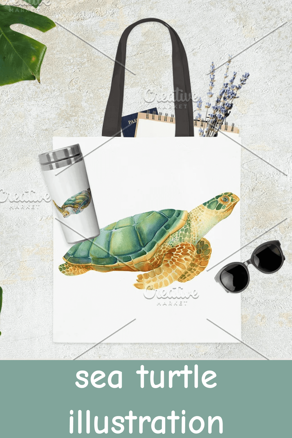 Sea Turtle Illustration.