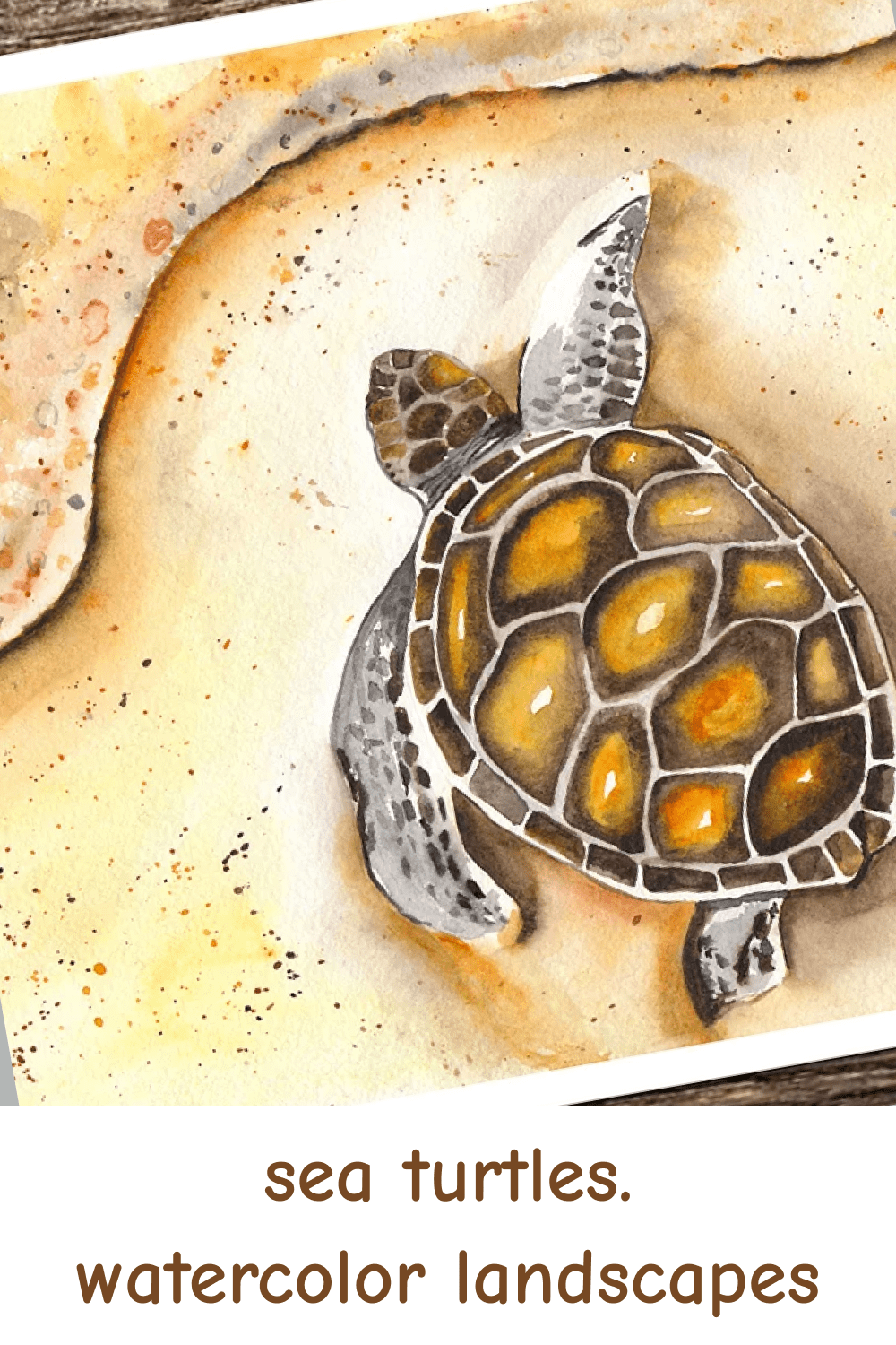 04 sea turtles. watercolor landscapes 1000h1500