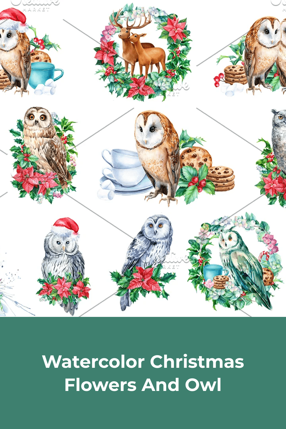 04 watercolor christmas flowers and owl 1000h1500