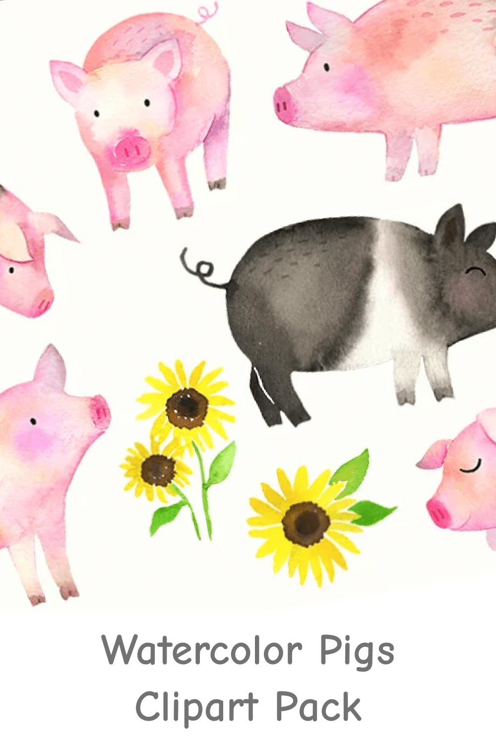 Watercolor Pigs Clipart Pack.