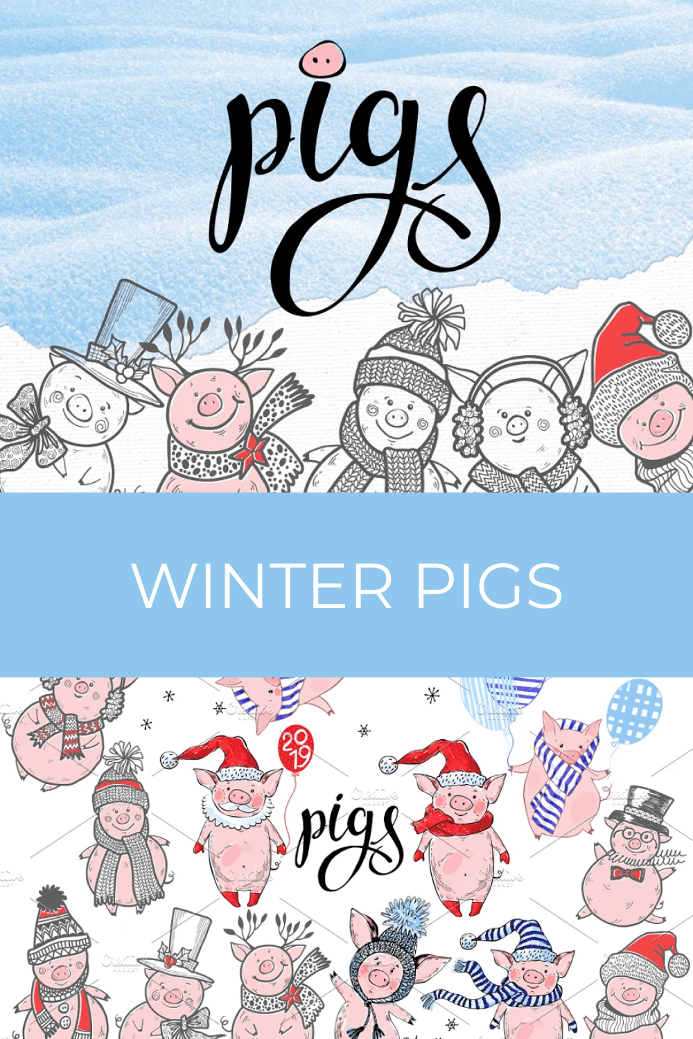 Winter Pigs.