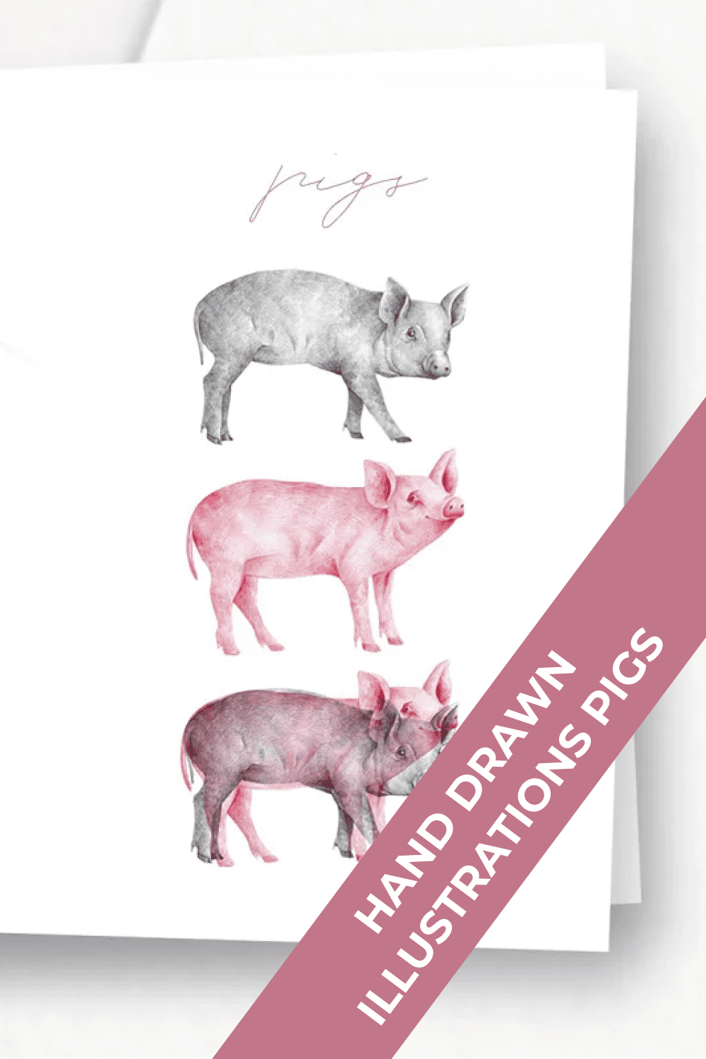 05 hand drawn illustrations pigs 1000x1500 1