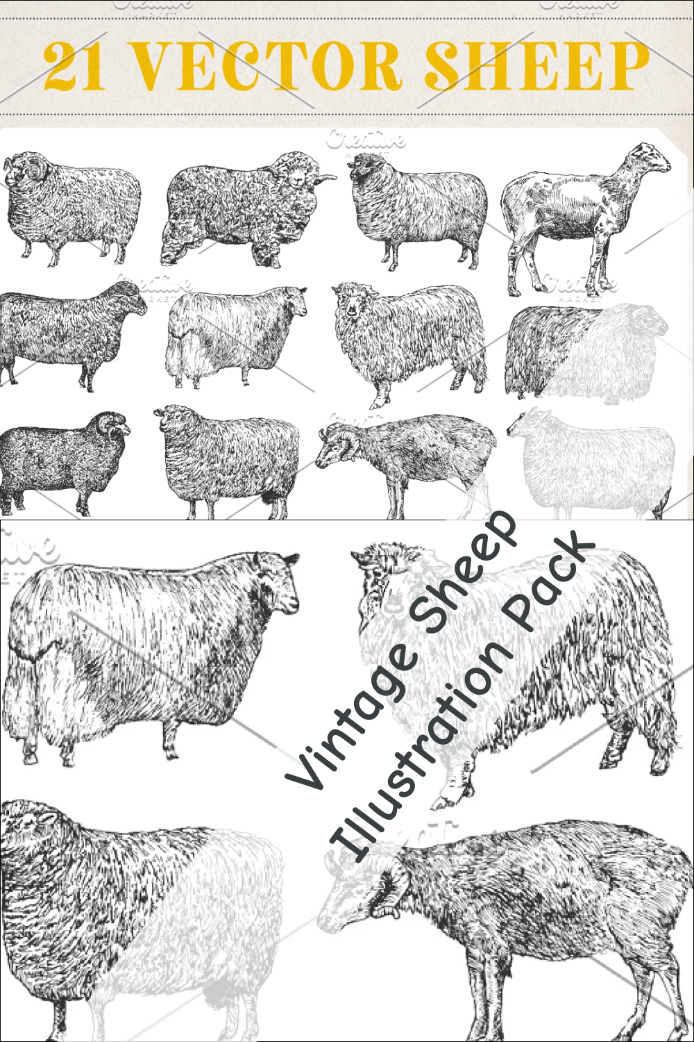 05 vintage sheep illustration pack 1000x1500 1