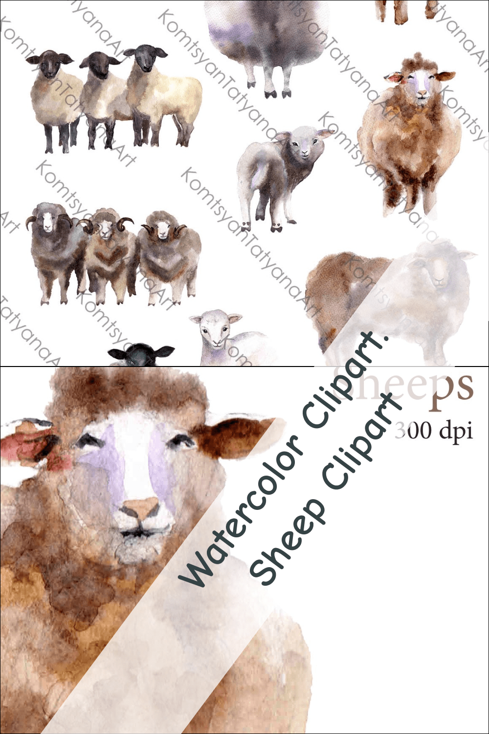 05 watercolor clipart. sheep clipart 1000x1500 1