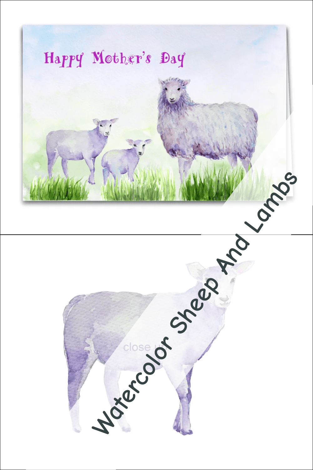 05 watercolor sheep and lambs 1000x1500 1