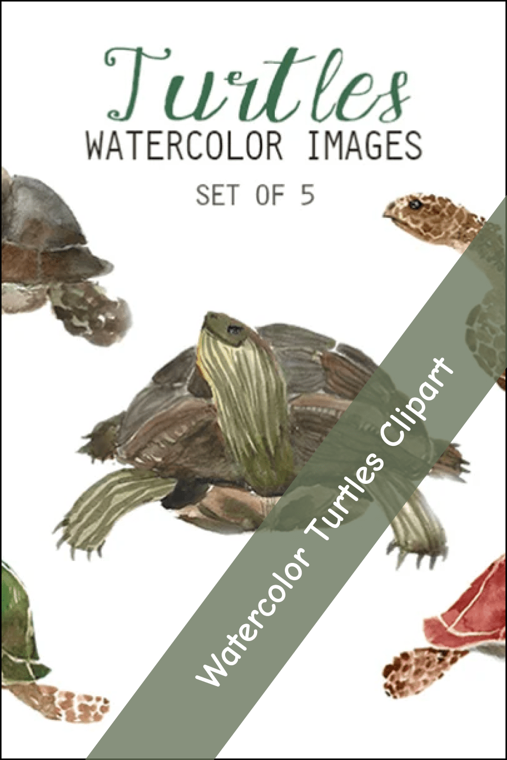 Watercolor Turtles Clipart.