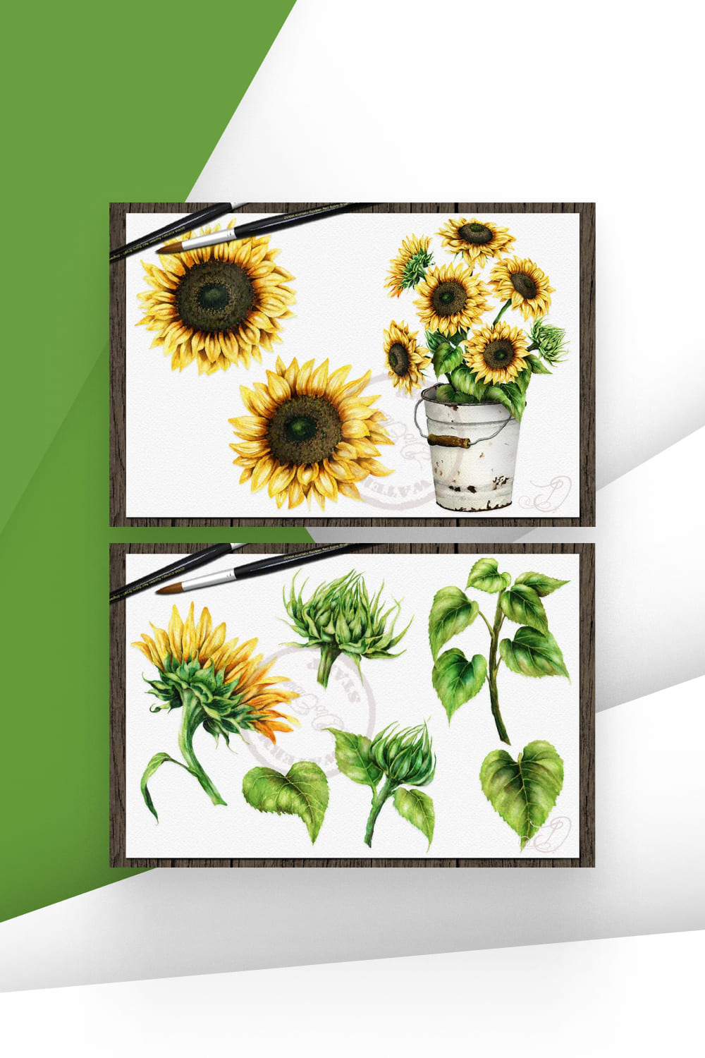 05 sunflower watercolor clipart rustic1000x1500